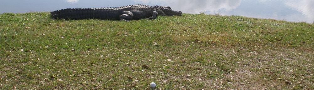 Tatum Ridge Men's Golf Association