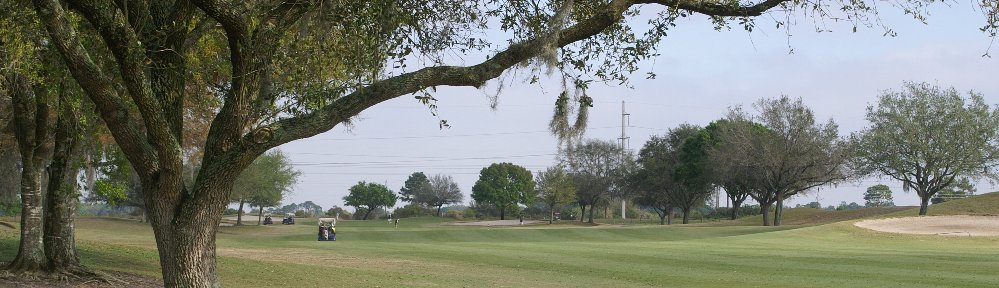 Tatum Ridge Men's Golf Association